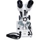 Бінокулярний мікроскоп  XTX-6C (10x; 2x/4x) Прев'ю 2